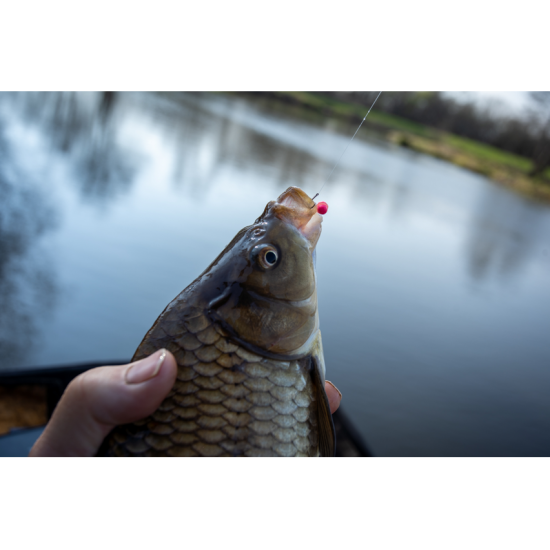 Wafters Sonubaits Micro Band'um Wafter - Power Scopex, 30g Wafters Sonubaits Micro Band'um Wafter - Power Scopex, 30g